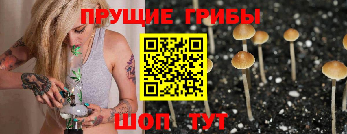 Псилоцибиновые грибы MAGIC MUSHROOMS Кушва