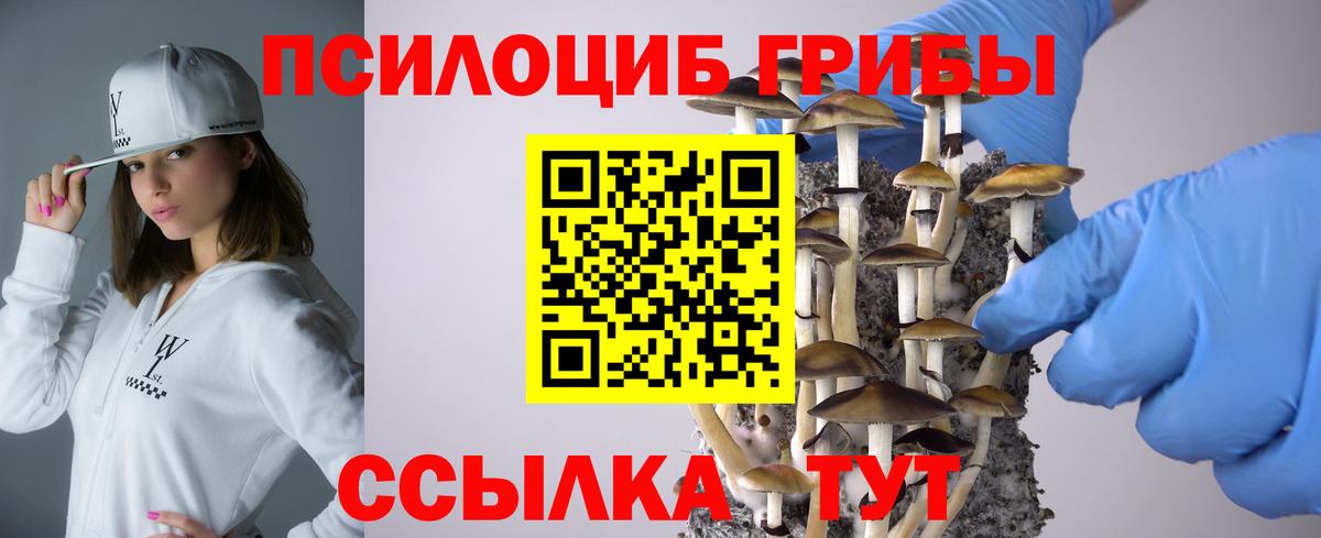 Кушва  Галлюциногенные грибы Cubensis  Псилоцибиновые грибы мухоморы  Вход с VPN 